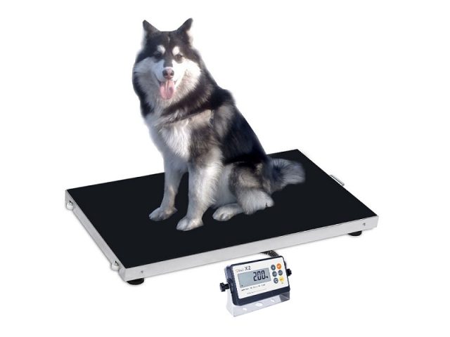 pet-weighing-indicator