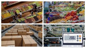 compact scale indicator