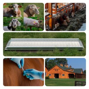 Portable Alleyway Cattle Weigh Scale Platform