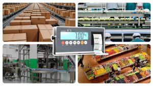 Label printing scale indicator