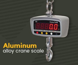 China crane scale