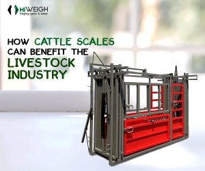 Livestock Scale