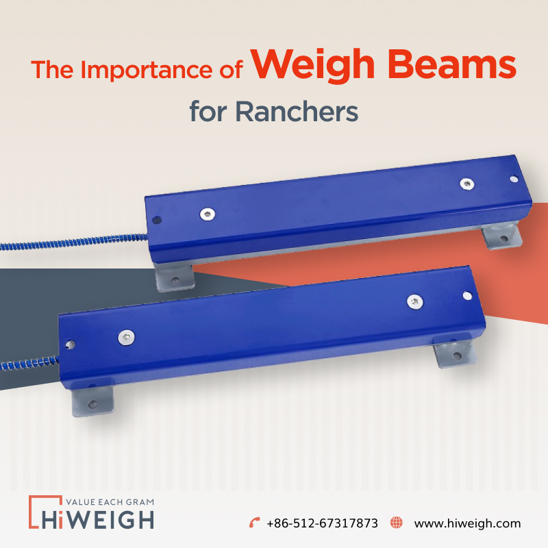 Why Weigh Beams are Important for Ranchers?