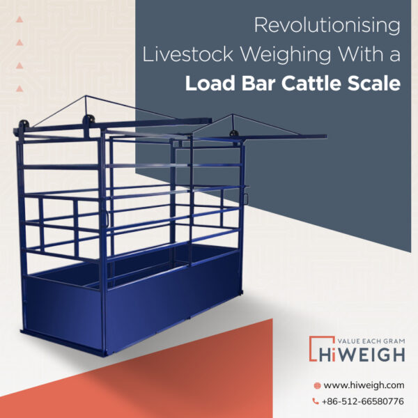 How the Load Bar Cattle Scale Is Revolutionising Livestock Weighing for ...