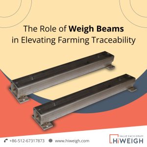 weigh beams