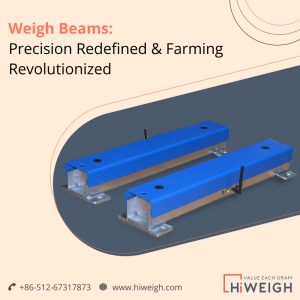 weigh beams
