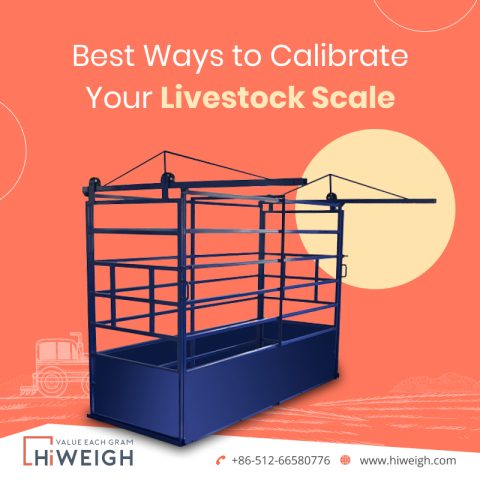 Livestock Scale manufacturer