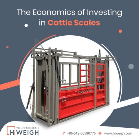 Financial Benefits of Cattle Scale