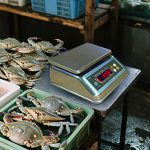 Food Processing-Weighing