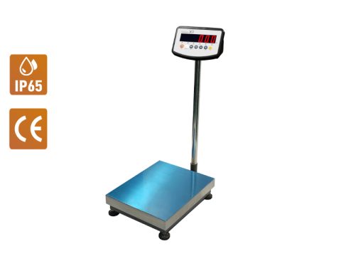 Economy Platform Scale