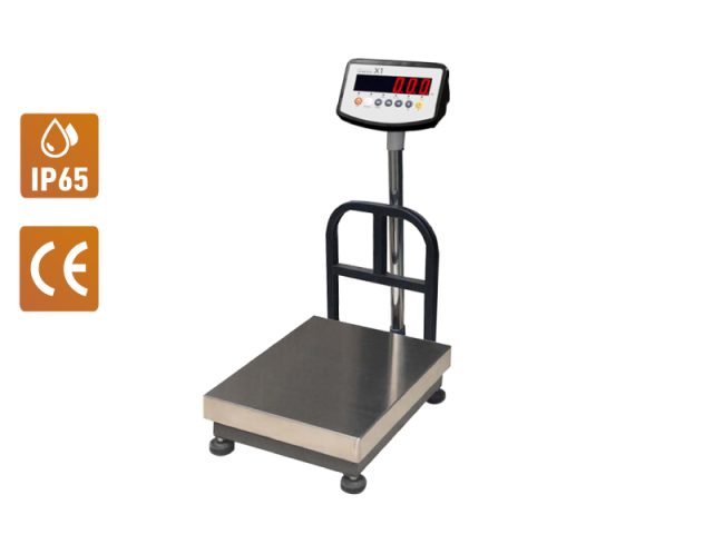 tubular steel platform scale with back rail