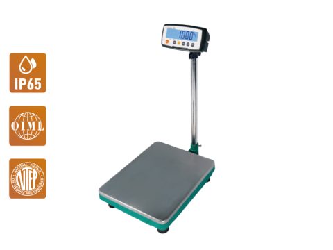 industrial platform scale